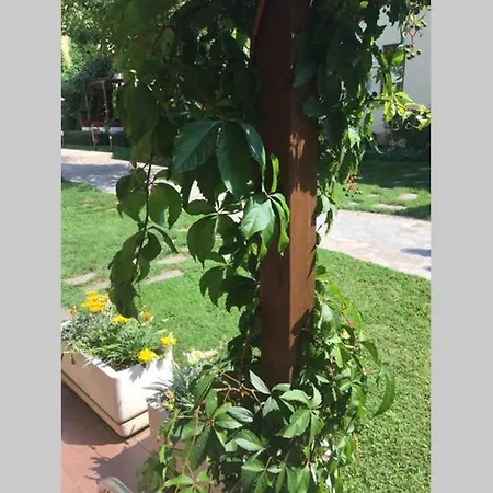 Garden Of Eden 2 Bed Bulgaria Sveti Vlas
