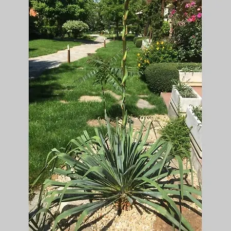 Apartment Garden Of Eden 2 Bed Bulgaria